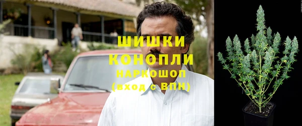СК Покачи