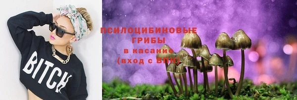 СК Покачи