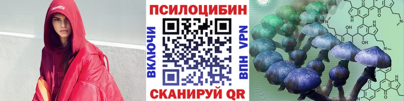 где продают   Черноголовка  Псилоцибиновые грибы GOLDEN TEACHER 