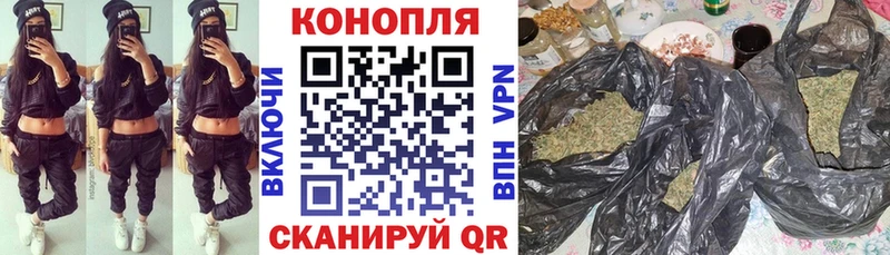 цена Черноголовка Канабис OG Kush